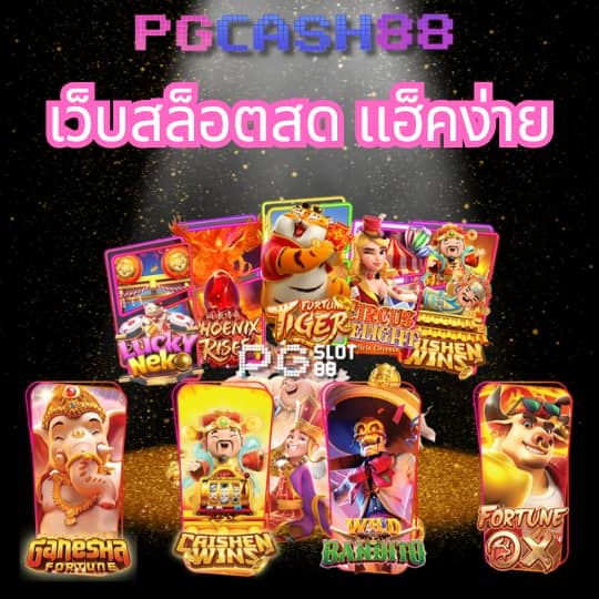 z16 ทางเข้า