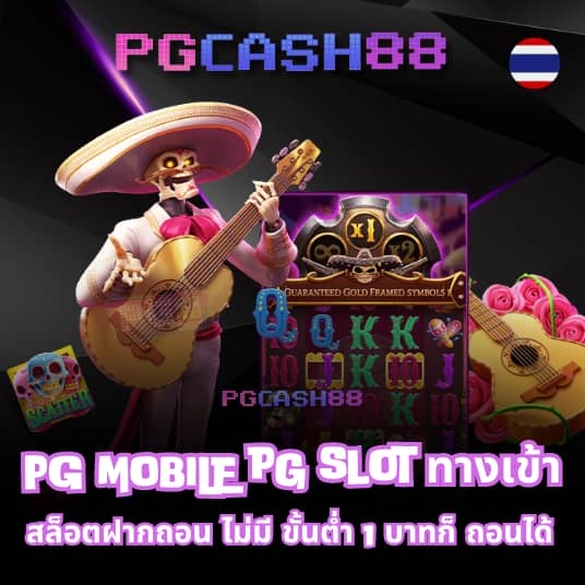 z16 ทางเข้า