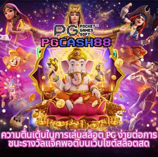 z16 ทางเข้า