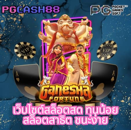 z16 ทางเข้า